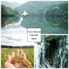 [WASHOKU MATSUO] Nikomaru: Rare Japanese Rice Born from Koshihikari  Premium Short Grain White Rice, rich in tradition, 4.4 lb. view 3