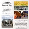 [WASHOKU MATSUO] Nikomaru: Rare Japanese Rice Born from Koshihikari  Premium Short Grain White Rice, rich in tradition, 4.4 lb. view 4