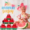 TaoBary 36 Pieces Watermelon Party Favors Boxes Melon Candy Treat Bags 3D Mini Goodie Gift Boxes for Summer Themed Birthday Baby Shower One in a Melon Party Decorations Supplies view 4