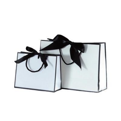 10pcs Paper Bag for Gift with Ribbon Shopping Clothing Store Craft Paper Bag Shipping Package
