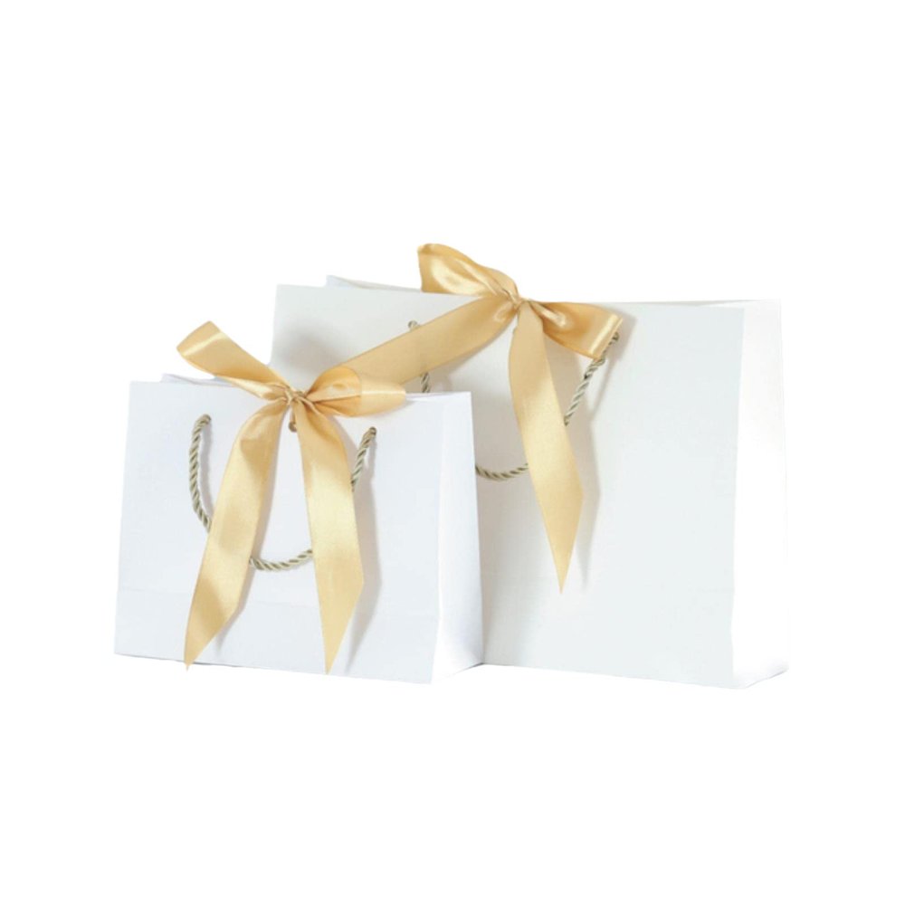 10pcs Paper Bag for Gift with Ribbon Shopping Clothing Store Craft Paper Bag Shipping Package