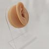 1 Pc Silicone Ear Model Reused Ear Displays Mould Used for Acupuncture Practice Training, Earrings, Headset Display Props(Color:Right Ear) view 2
