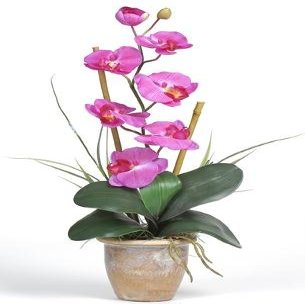Single Stem Phalaenopsis Silk Orchid Arrangement