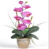 Single Stem Phalaenopsis Silk Orchid Arrangement view 1