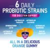 Probiotic Gummies 5 Billion CFU - Top 6 Pro Biotic Strains - Daily Probiotic Gummy Supplement for Women, Men & Teens - Natural Digestive Health, Good Gut & Immune Support - Orange Flavor - 60 Count view 3