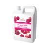 Bossen Concentrated Syrup_5.5 lb (Dragon Fruit) view 1