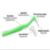 Orthomechanic Reusable Interdental Angle Brushes Jumbo Pack - Remove Plaque - Toothpick (Standard - Blue - 50 Count Pack of 2) view 2