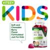 Viteey Zinc for Kids Gummies, 25mg - Immune Support for Kids & Teens - Powerful Natural Antioxidant, Kids Zinc Vitamin Supplement - Vegan, Gelatin Free, Gluten Free - Tasty Chewable Berry Flavor Gummy view 2