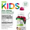 Viteey Zinc for Kids Gummies, 25mg - Immune Support for Kids & Teens - Powerful Natural Antioxidant, Kids Zinc Vitamin Supplement - Vegan, Gelatin Free, Gluten Free - Tasty Chewable Berry Flavor Gummy view 4