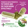 Bacillus Subtilis Spore Based Probiotic  High Potency Strain with Prebiotic for Balanced Belly | Daily Gut Health & Microbiome Support for Family | 6 Billion CFU Per Day | 90 Vegetarian Capsules view 4
