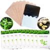 100Pcs Mugwort Ginger Patch for Pain,  Pure Nature Moxa Sticker Chinese Traditional Herbal Paste Pads for Foot Neck, Shoulder, Waist, Feet, Joint, Hand Seniors Gift, 12 * 8cm, Pack of 10 view 1