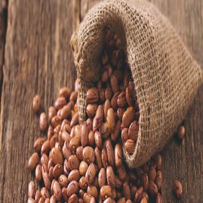Organic Bulk Pinto Beans | 100% natural | Premium Quality 50 lbs