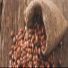 Organic Bulk Pinto Beans | 100% natural | Premium Quality 50 lbs view 1