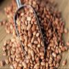 Organic Bulk Pinto Beans | 100% natural | Premium Quality 50 lbs view 2