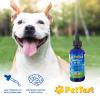 PetTest Methyl B12 Vitamin Liquid Drops 4fl oz (5000 MCG) Supplement with Methylcobalamin for Diabetic Pets, Maximum Absorption to Increase Energy for Dogs and Cats view 2