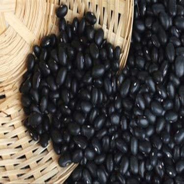 Organic Black Beans | Turtle Beans | Bulk 35 lbs | 100% natural | Premium Quality