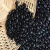 Organic Black Beans | Turtle Beans | Bulk 35 lbs | 100% natural | Premium Quality view 1