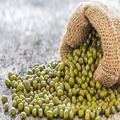 Organic Whole Green Gram Moong Small Beans Microgreens Sprouting Salad seeds 35lbs