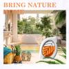 Air Freshener for Home, 4 Pack, Hawaiian, Odor Eliminator for Small Area Closets Bathroom Pets Strong Odor, Up to 120 Days view 3