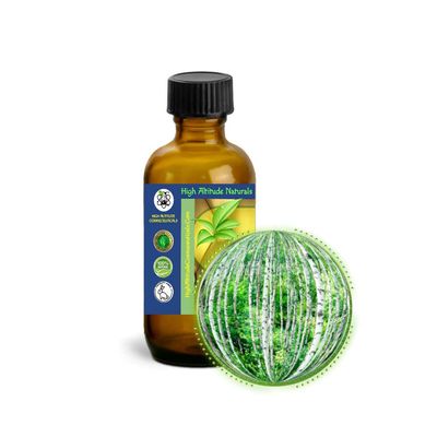 60ml (2oz) Birch Bud Essential Oil (Betula Pendula, Silver, European)