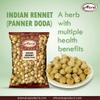 Aiva Paneer Phool | Panir Doda | Ayurvedic Herb Rennet (Withania Coagulans) (200 gm)  Natural Ingredient for Curdling and Traditional Recipe view 4