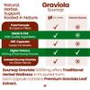 Healthfare Graviola Soursop Extract 5000mg | Annona Muricata | 200 Vegan Capsules | High Potency Leaf & Fruit Blend | Non-GMO | Gluten-Free | Made in USA view 4
