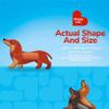 BioSwiss Bandages, Weiner Dog Shaped Self Adhesive Bandage Set, Latex Free, Sterile Wound Care, 24 Count view 4