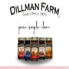 Dillman Farm All Natural Apple Butter (Pack of 3)- Gluten-Free, Non-GMO, Vegan, Kosher, Eco Friendly, Preservatice Free, Corn Syrup Free - Made in USA, 14 oz view 2