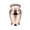 SHEIL Cremation Urn Pet/Human Ashes Urn Large Volume for Ashes Ash Keepsake Funeral Casket Urn 2.8 * 1.7 Inch view 1