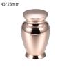 SHEIL Cremation Urn Pet/Human Ashes Urn Large Volume for Ashes Ash Keepsake Funeral Casket Urn 2.8 * 1.7 Inch view 2