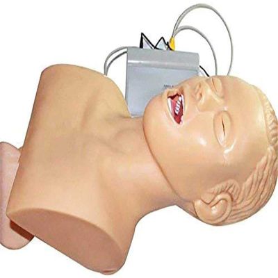 JINTAOMA Adult Intubation Model,PVC Adult Intubation Manikin Teaching Model, Airway Management Trainer Tracheal Intubation Training Simulator Model Science Lab