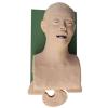 JINTAOMA Electronic Silicone Airway Management Trainer, Intubation Manikin Teaching Model for Professional Nurse Emergency Education Demonstration view 4