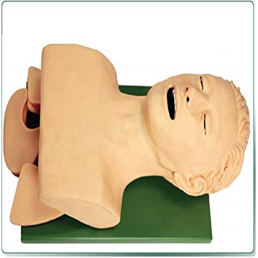 JINTAOMA Intubation Manikin Teaching Model, Electronic Silicone Airway Management Trainer, for Professional Nurse Emergency Education Demonstration