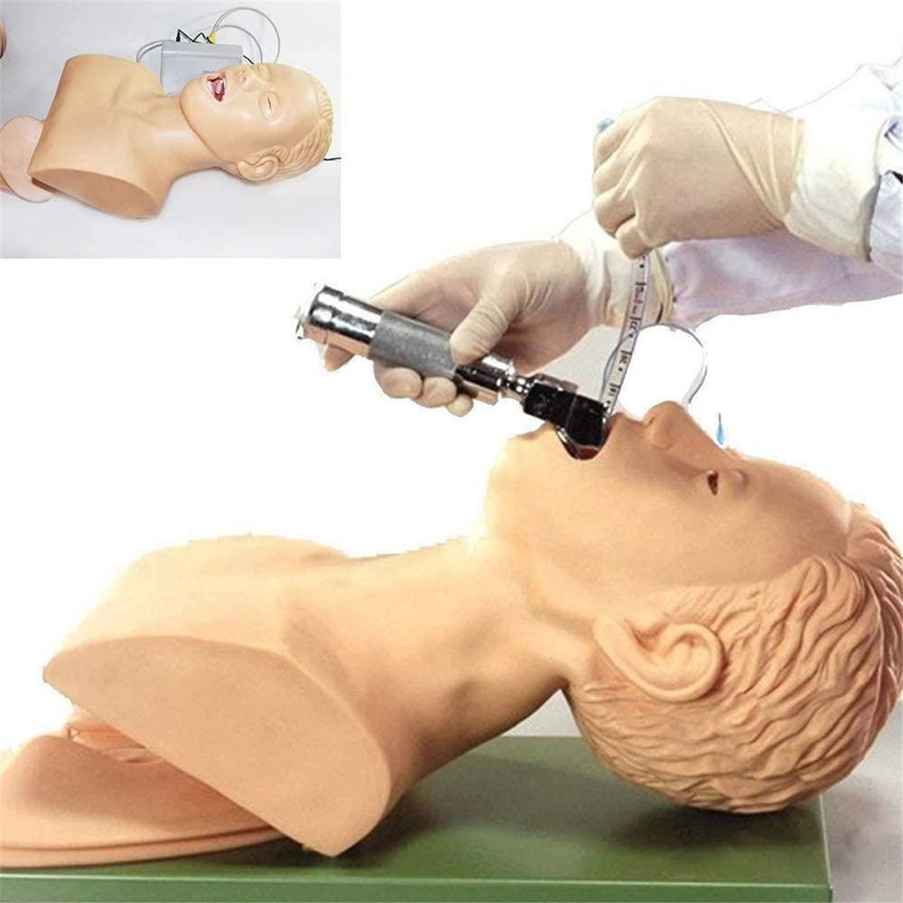 JINTAOMA Intubation Manikin Teaching Model, Oral Nasal Tracheal Intubation Simulation Airway Management Trainer