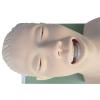 JINTAOMA Airway Management Trainer Tracheal Intubation,PVC Adult Intubation Manikin Teaching Model, Science Lab Education, 110V,220V view 2