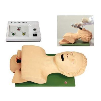 JINTAOMA Adult Tracheal Intubation Training Simulator Model Intubation Head Teaching Study Manikin Teaching Model Science Lab Education