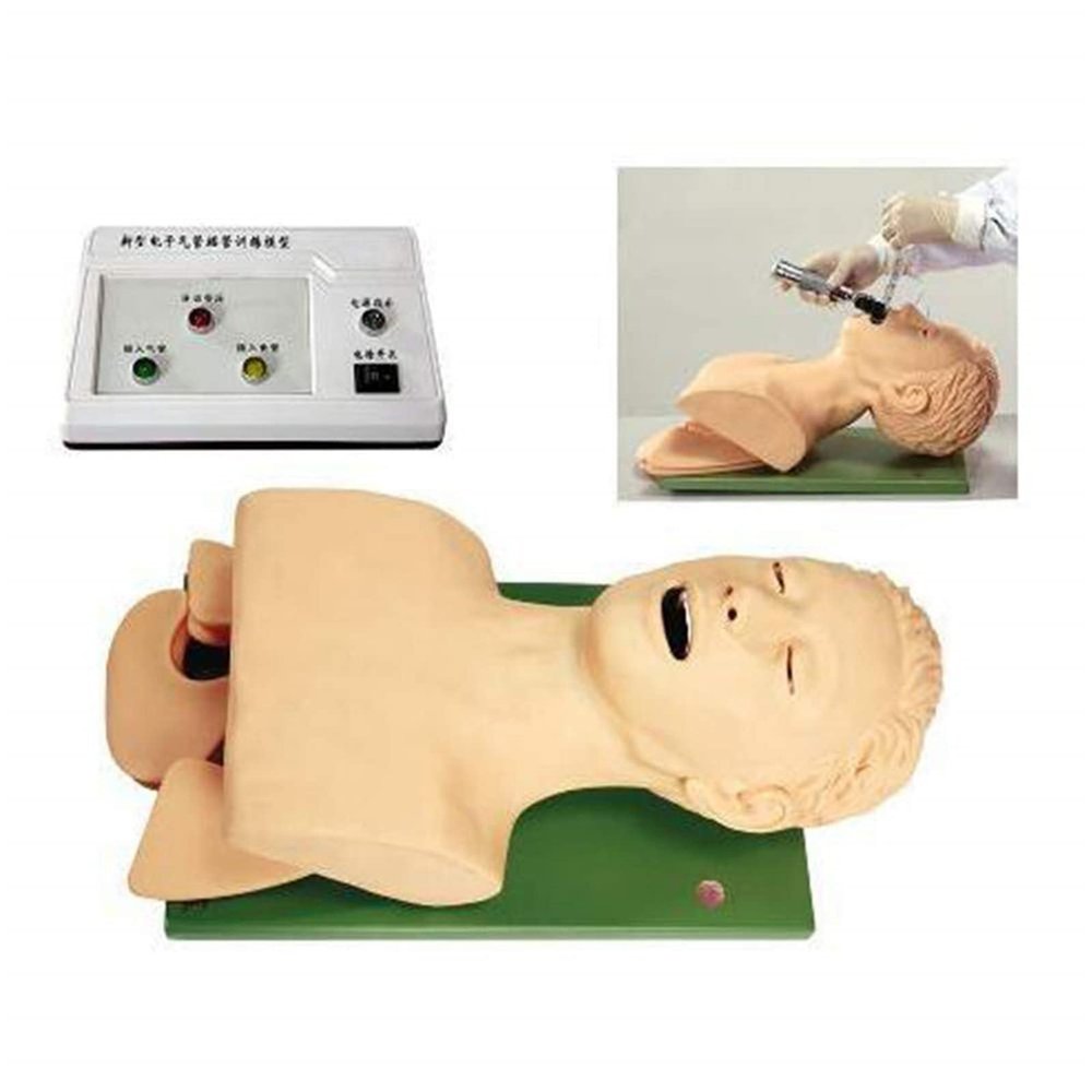 JINTAOMA Adult Tracheal Intubation Training Simulator Model Intubation Head Teaching Study Manikin Teaching Model Science Lab Education