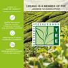 Creano Tea Flowers in Cup Size - Blooming Tea - 8 Flowering Tea in 4 Different Varieties - Green Tea view 4