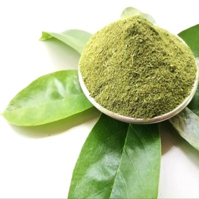200g Dried Soursop Leaves Powder Healthy leaf Guanabana Graviola Guyabano Organic