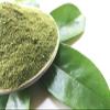 200g Dried Soursop Leaves Powder Healthy leaf Guanabana Graviola Guyabano Organic view 2