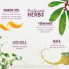 WishGarden Herbs Rise & Energize - Plant-Based Herbal Energy Boost Supplement with Yerba Mate, Maca, Schisandra & Gotu Kola, Jitter-Free Coffee & Tea Alternative, Less Than 5mg Caffeine, 2oz view 4