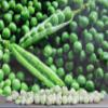 Gourmet Freeze Dried Peas by Its Delish, 8 Oz Bulk | Vegan and Kosher Dried Vegetables with Long Shelf Life for Convenient Meals and Cooking view 4