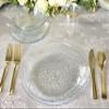 " OCCASIONS " 120 Plates Pack, Disposable Wedding Party Plastic Bowls (16 oz Soup/Dessert Bowl, Coastal Clear) view 2