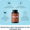 Ancient Nutrition Organ Supplements, Grass-Fed and Wild Organ Complex Capsules, Liver, Heart, Kidney Supports Organ, Cognitive, and Immune System Health, 180 Ct view 3