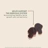 OM MUSHROOM SUPERFOOD Lions Mane Mushroom Gummies  USA Grown Organic Lions Mane  Supports Memory, Focus & Cognitive Health  Strawberry Flavor  30 Servings, 60 Count. view 3