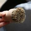 amboo Dish Scrub Brush for Kitchen Sink, Kitchen Dish Scrubber Cleaning Brush, Wooden Washing Dish Brush Scrubber, Bristles Brush for Washing Dish, Household Cleaning Cast Iron Brush Pots, Pans view 4