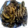 Mamira Coptis Teeta, 250 Grams Pack by Tradebulk view 1