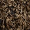 Japanese Dried Wood Ear Mushrooms 0.49 oz (14g)  5 Packs Versatile for Ramen, Stir Fry, Hot Pot, Vegan & Asian Dishes. Just Soak in Water, Then Easy to Prepare (0.49 oz (14g)  5 Packs) view 3