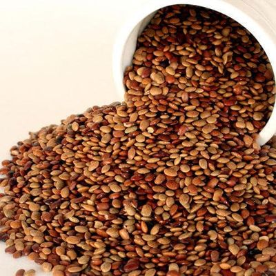 Organics Brown Horse Gram, 500 g by Tradebulk