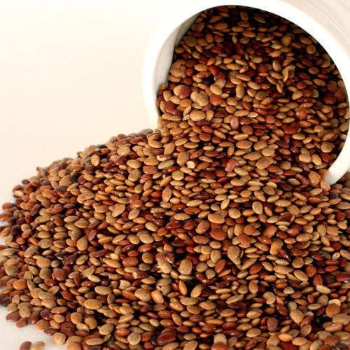 Organics Brown Horse Gram, 500 g by Tradebulk